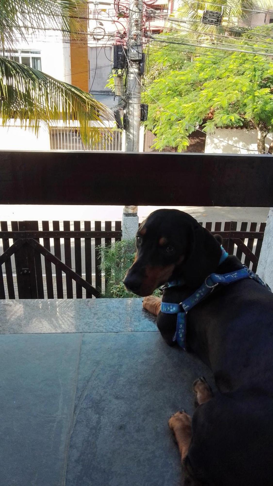 Casa Aconchegante 100M Da Praia Do Forte Cabo Frio Szoba fotó